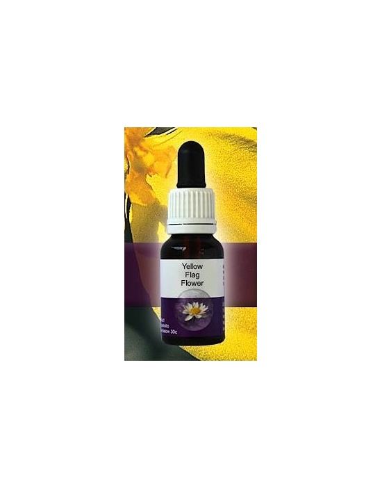 Yellow Flag Flower Living Essences Stockbottle 15 ml Fiori Australiani