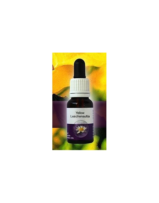 Yellow Leschenaultia Living Essences Stockbottle 15 ml Australische Bachblüten