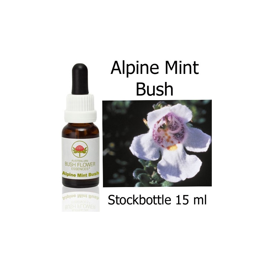 Alpine Mint Bush Australian Bush Flower Essences 15 ml