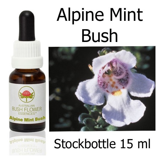 Alpine Mint Bush Australian Bush Flower Essences