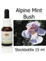 Buschblüten Stockbottles Alpine Mint Bush Australian Bush Flower Essences
