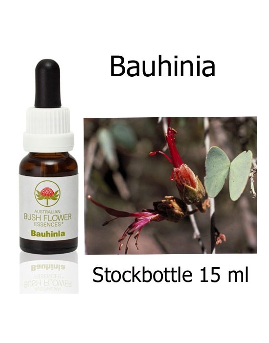 Australian Bush Flower Essences Fiori Australiani Bauhinia Stockbottles