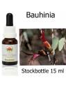 Bauhinia Australian Bush Flower Essences Stockbottle
