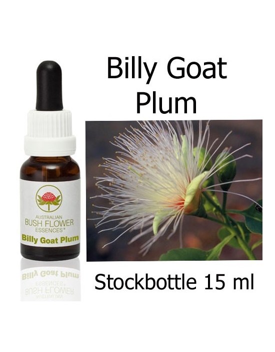 Buschblüten Billy Goat Plum Stockbottles Australian Bush Flower Essences