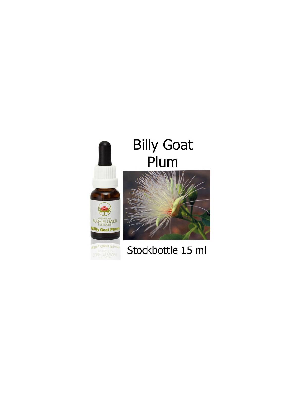 Australian Bush Flower Essences Fiori Australiani Billy Goat Plum Stockbottles