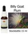 Australian Bush Flower Essences Fiori Australiani Billy Goat Plum Stockbottles