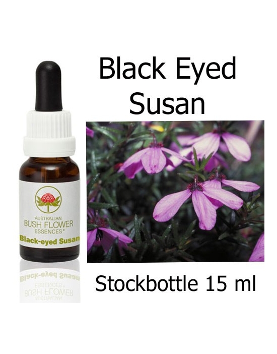 Buschblüten Black Eyed Susan Stockbottles Australian Bush Flower Essences