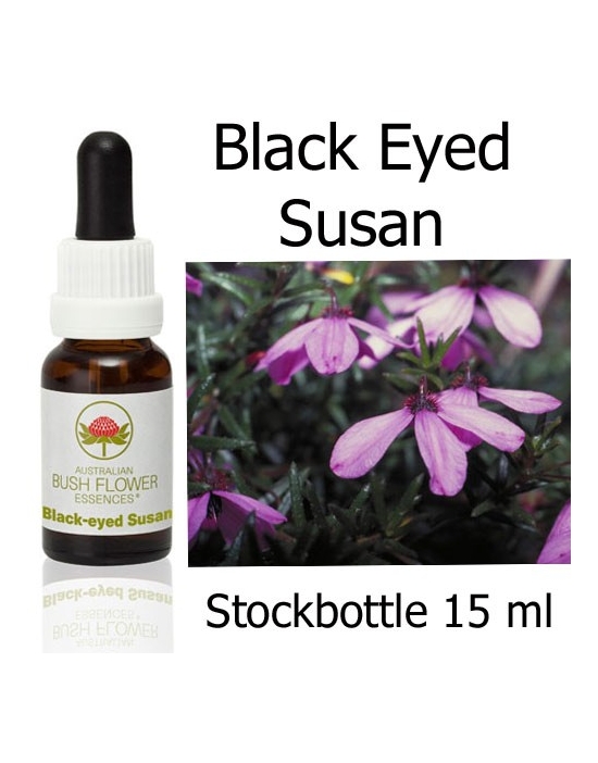 Fiori Australiani Black Eyed Susan Stockbottles Australian Bush Flower Essences