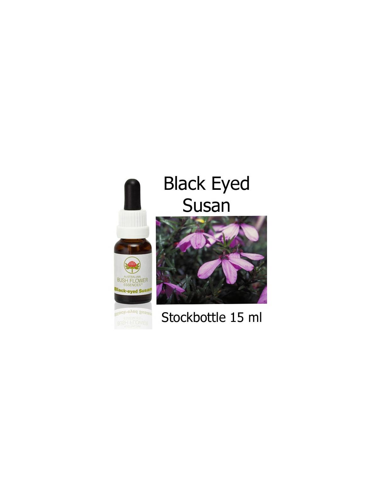 Buschblüten Black Eyed Susan Stockbottles Australian Bush Flower Essences