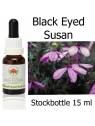 Fiori Australiani Black Eyed Susan Stockbottles Australian Bush Flower Essences