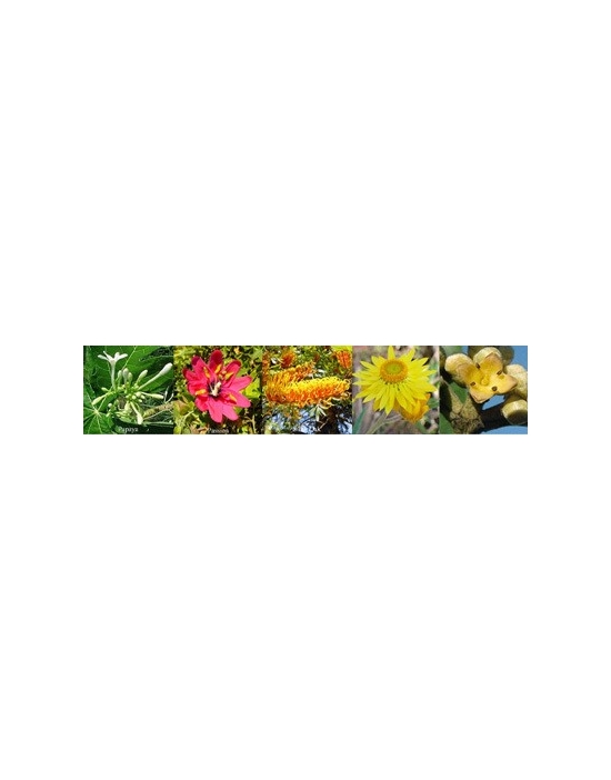 fiori SELF LOVE Aura Spray Australian Flower Essences