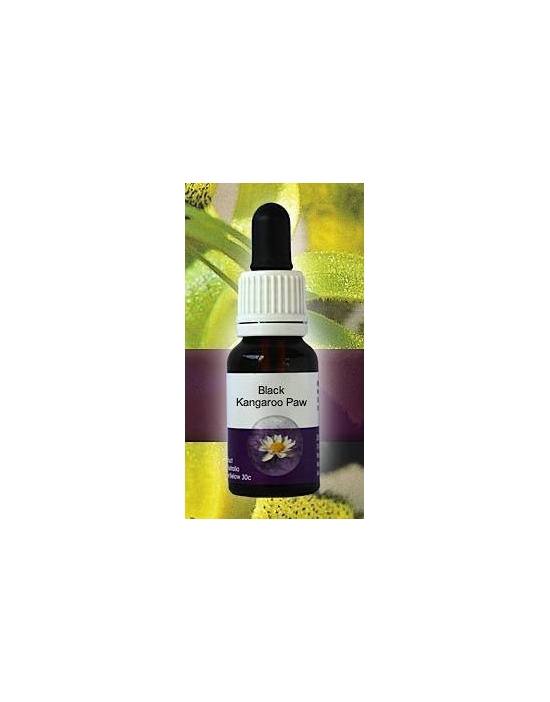 Black Kangaroo Paw Living Essences of Australia Stockbottle 15 ml