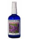 Bio Lavendelwasser 100 ml pures Hydrolat ohne Zusätze