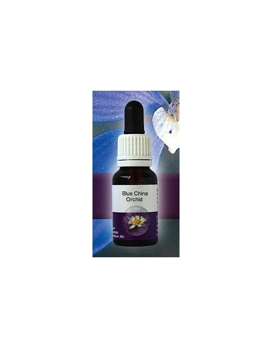 Blue China Orchid Living Essences Stockbottle 15 ml