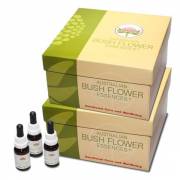 These are the original therapist kits of Australian Bush Flower Essences