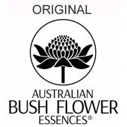Australische Buschblüten Stockbottles Australian Bushflowers Ian White